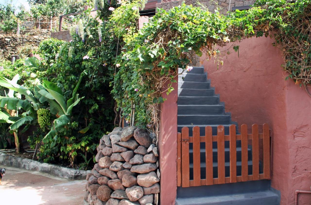 Tonono'S Village Santa Maria de Guia de Gran Canaria المظهر الخارجي الصورة