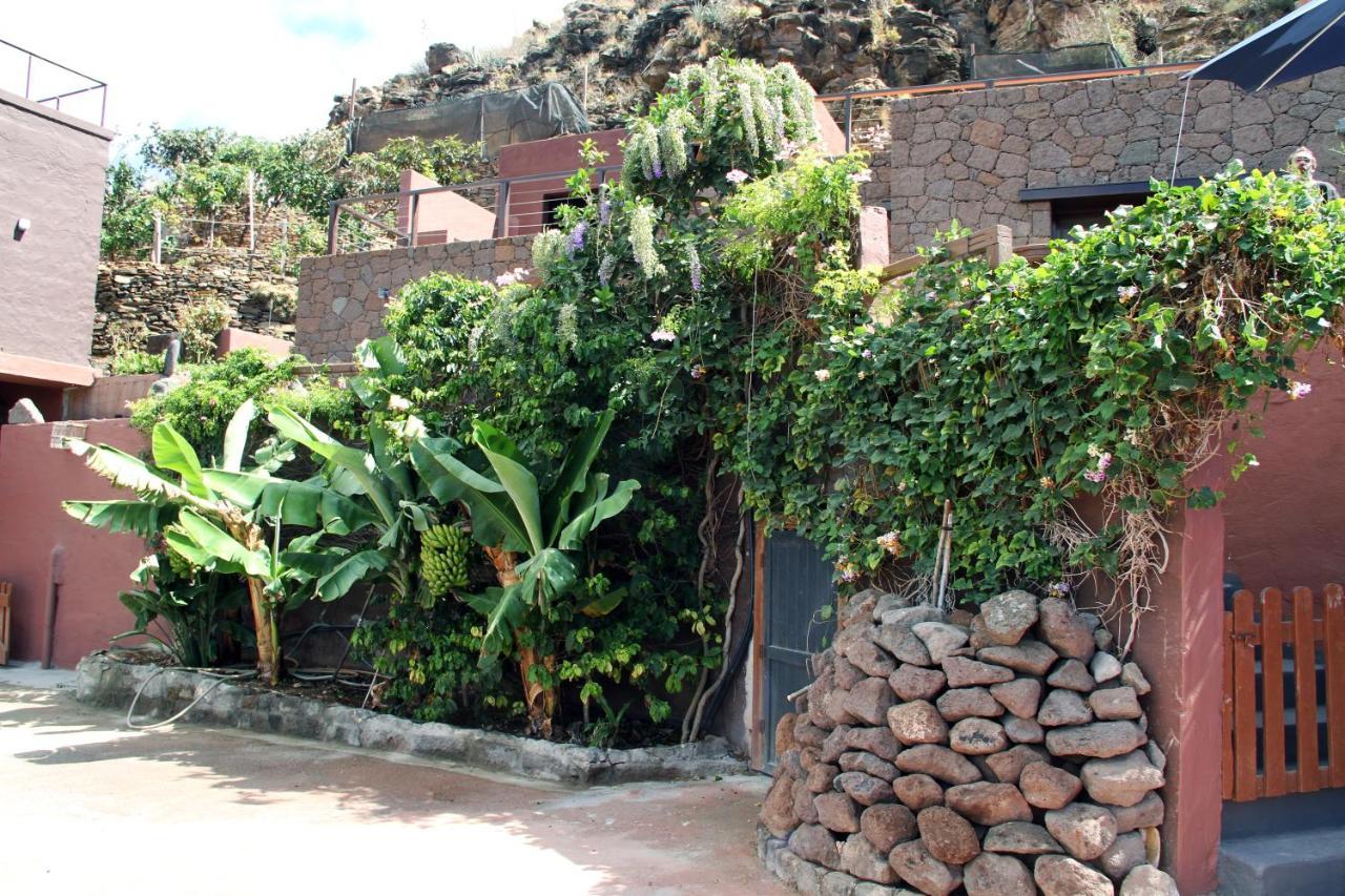 Tonono'S Village Santa Maria de Guia de Gran Canaria المظهر الخارجي الصورة