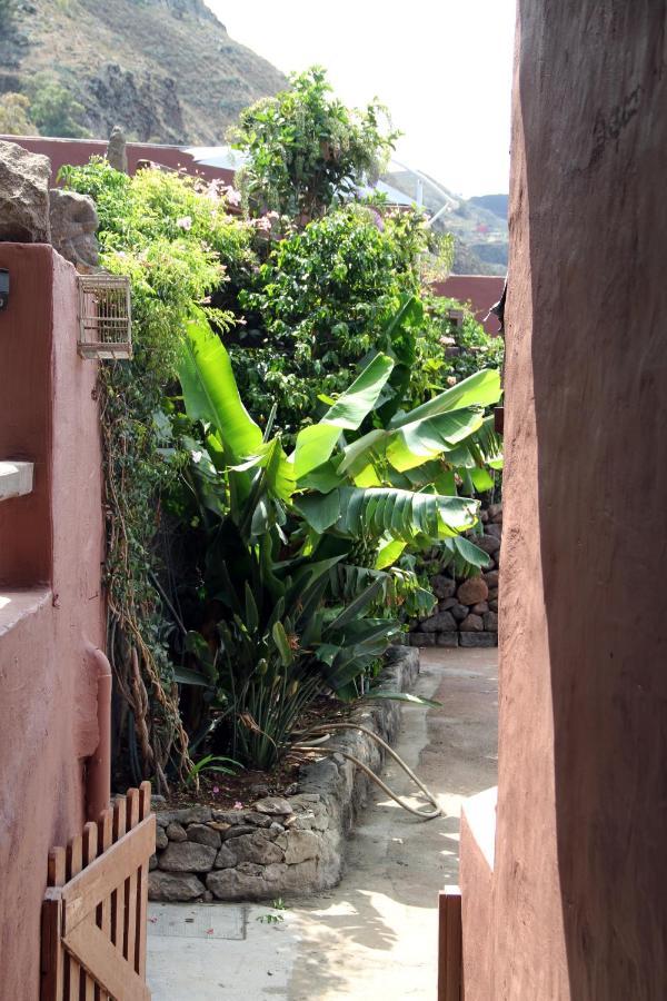 Tonono'S Village Santa Maria de Guia de Gran Canaria المظهر الخارجي الصورة