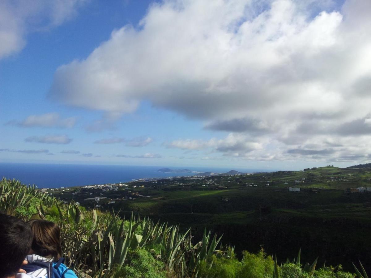 Tonono'S Village Santa Maria de Guia de Gran Canaria المظهر الخارجي الصورة