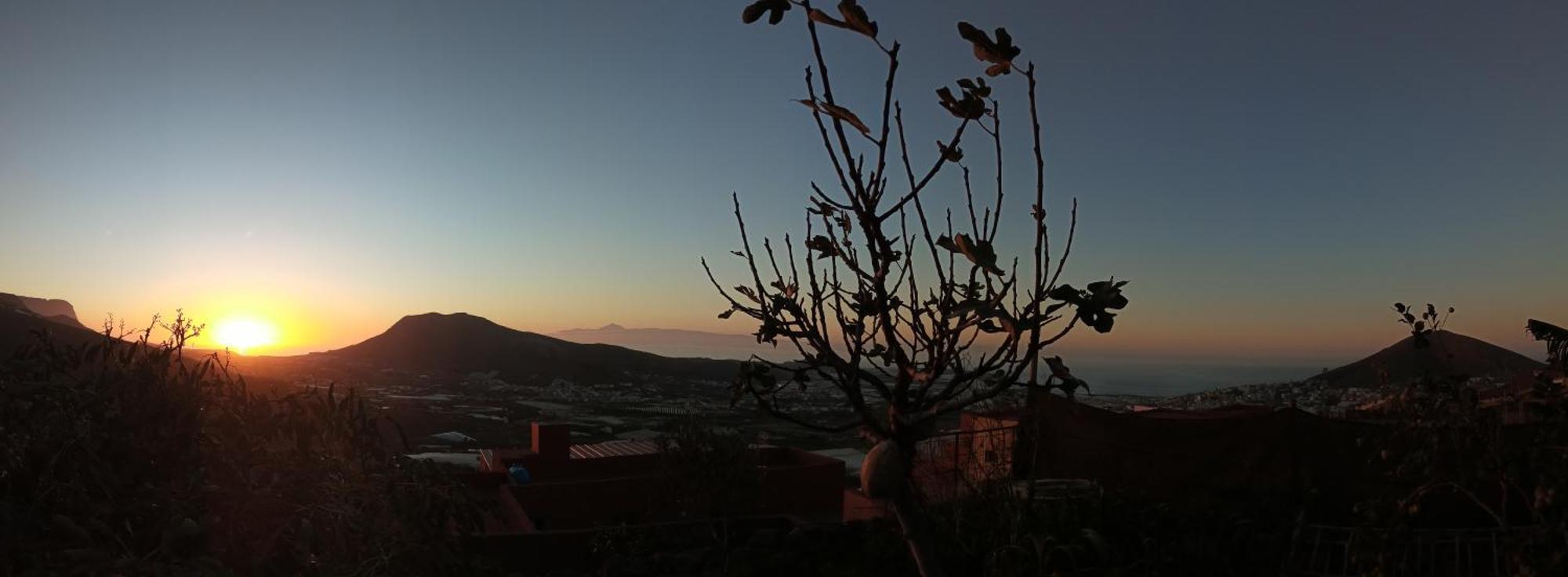Tonono'S Village Santa Maria de Guia de Gran Canaria المظهر الخارجي الصورة