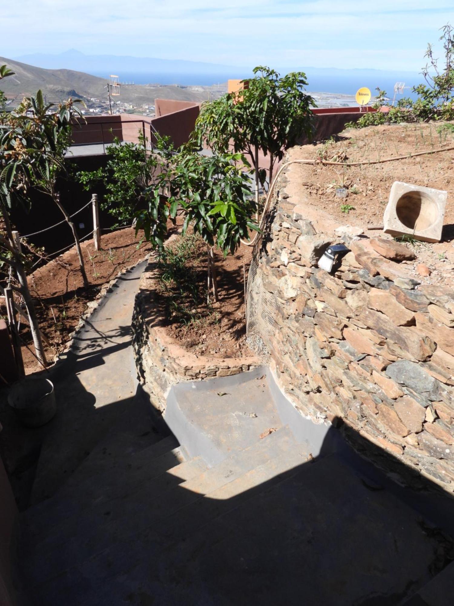 Tonono'S Village Santa Maria de Guia de Gran Canaria المظهر الخارجي الصورة
