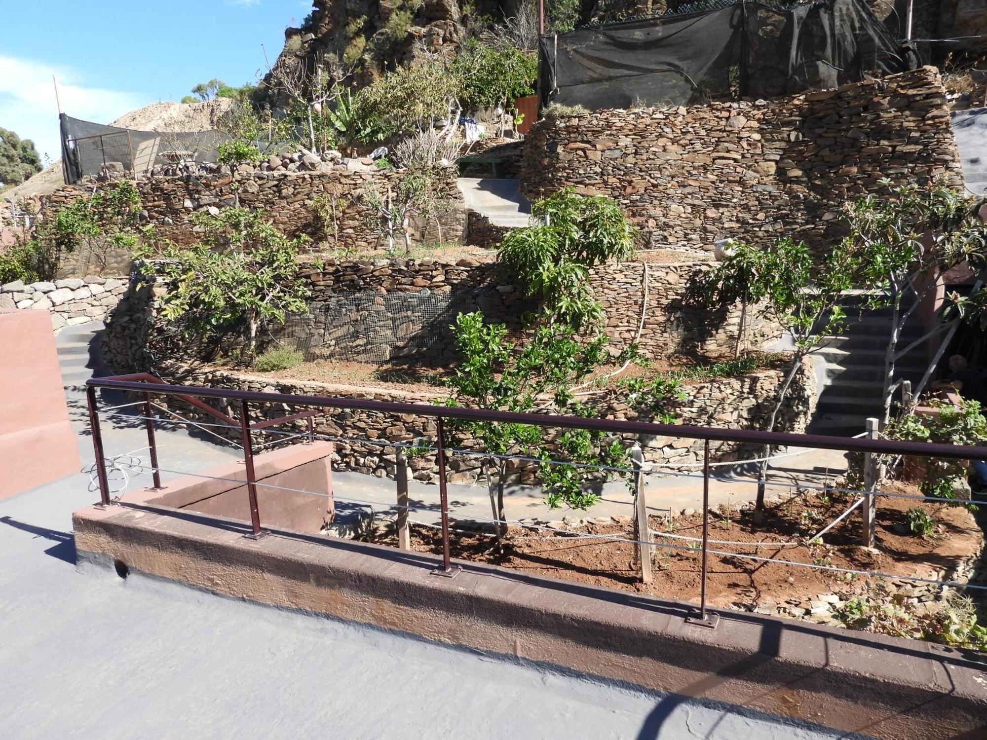 Tonono'S Village Santa Maria de Guia de Gran Canaria المظهر الخارجي الصورة